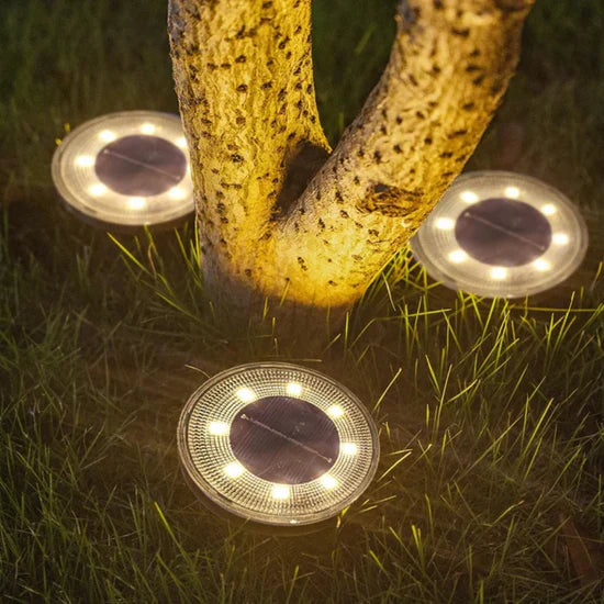 Cene Motion Sensor Solar Outdoor Lamp