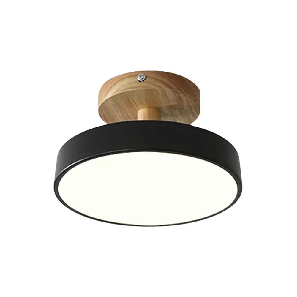 Soreia Compact Modern LED Ceiling Lamp