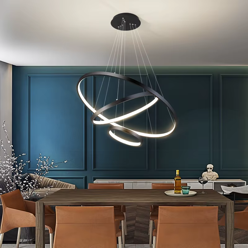 Halo Modern Ceiling Lamp