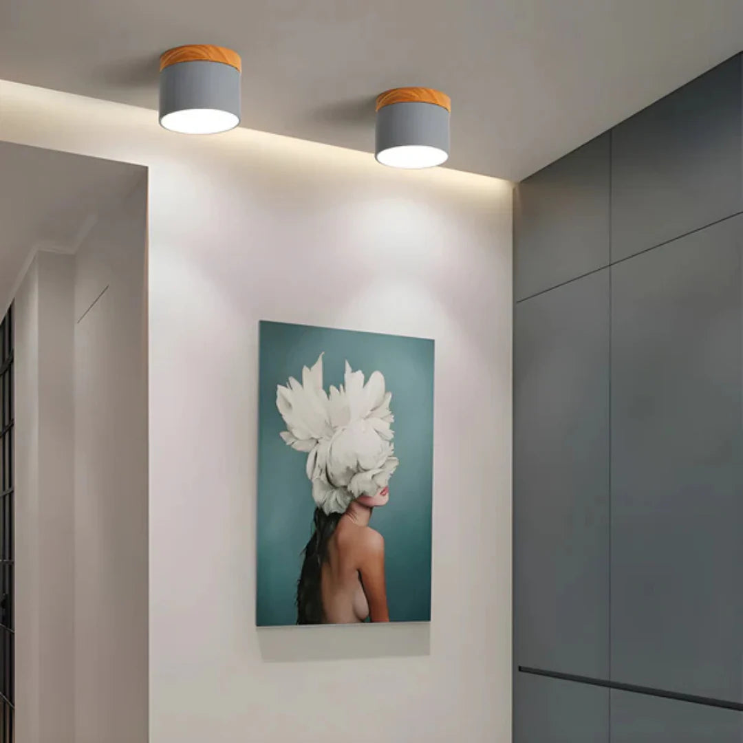 Vesta Vintage LED Ceiling Lamp