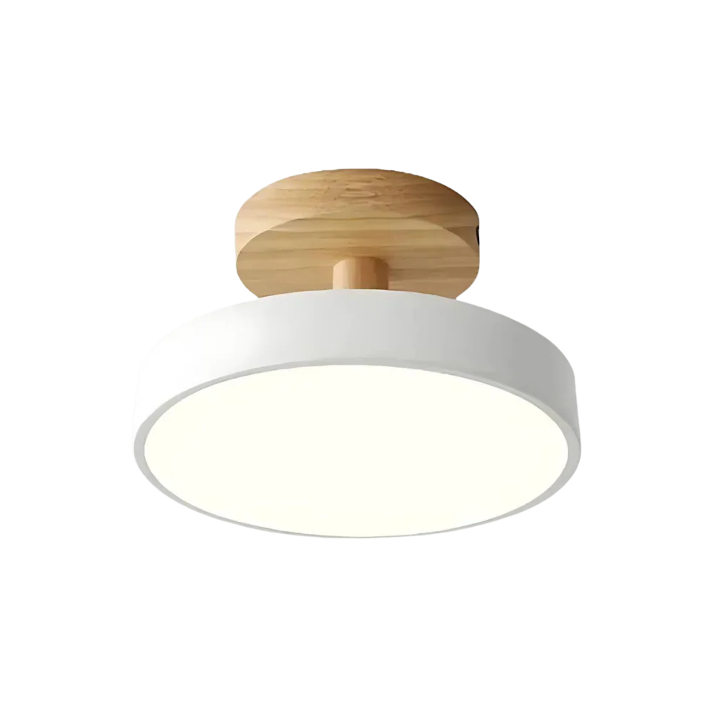 Soreia Compact Modern LED Ceiling Lamp