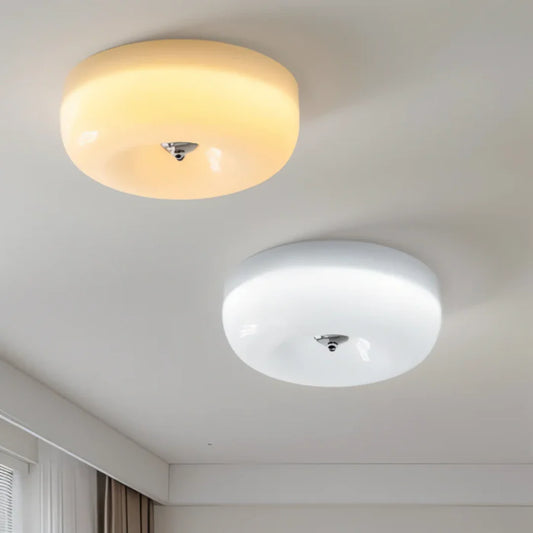 Zyros Scandinavian LED ceiling lamp