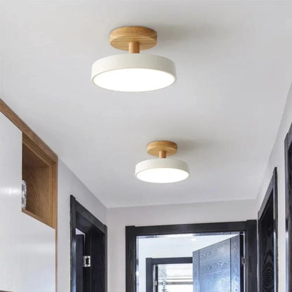 Soreia Compact Modern LED Ceiling Lamp