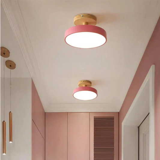 Soreia Compact Modern LED Ceiling Lamp