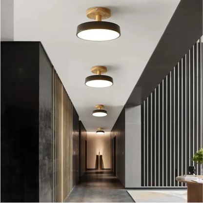 Soreia Compact Modern LED Ceiling Lamp