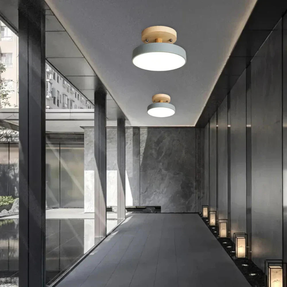 Soreia Compact Modern LED Ceiling Lamp