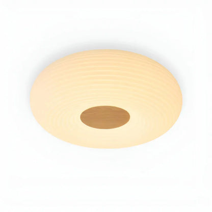 Tapion Modern LED Ceiling Lamp