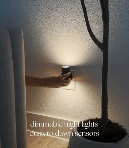 Casa Solaro™ Lumilight (Pack of 2)