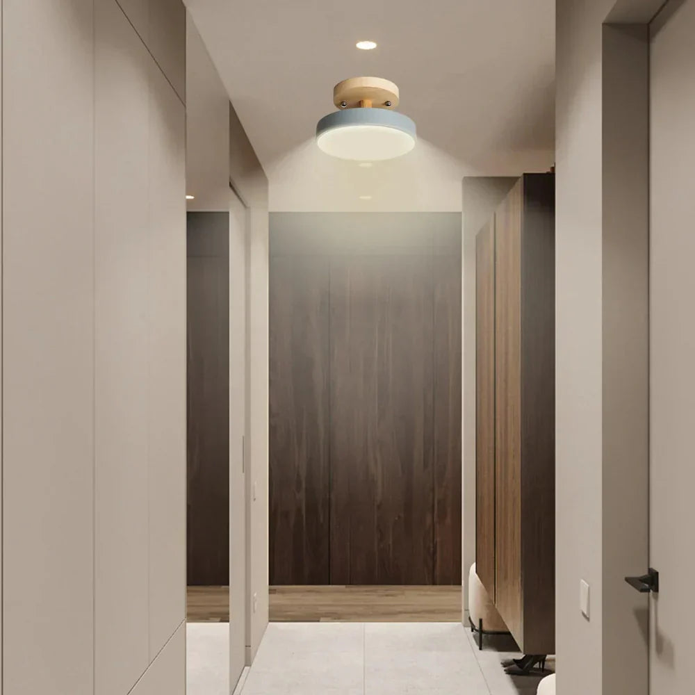 Soreia Compact Modern LED Ceiling Lamp