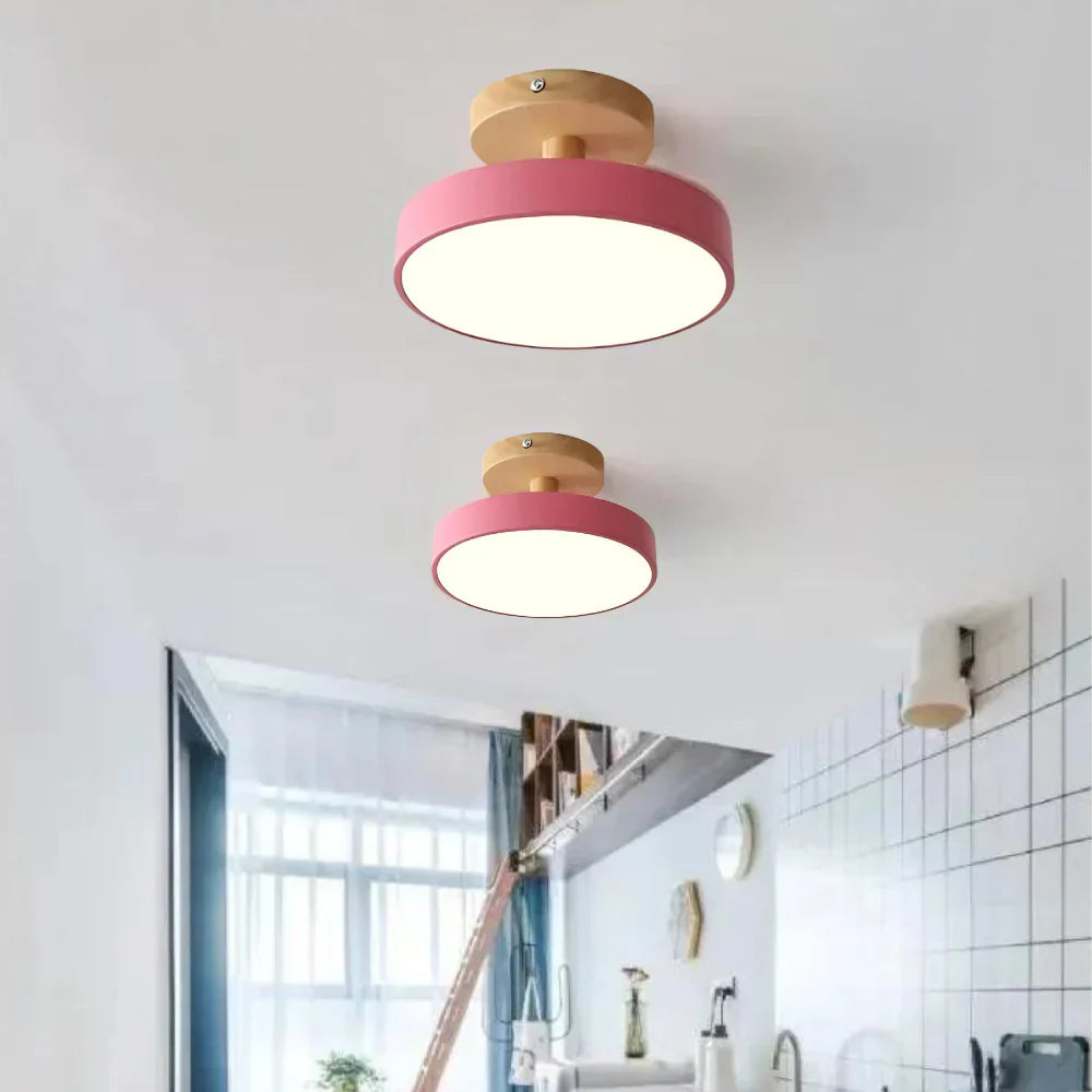Soreia Compact Modern LED Ceiling Lamp