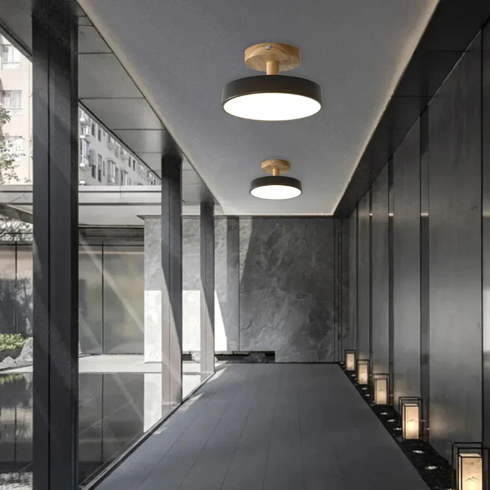 Soreia Compact Modern LED Ceiling Lamp