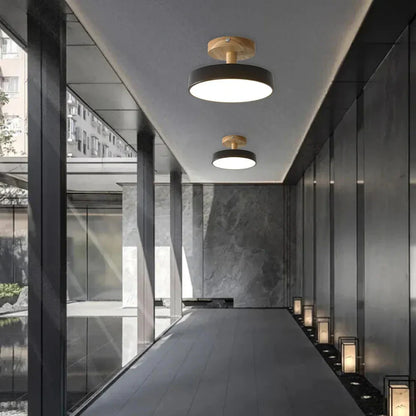 Soreia Compact Modern LED Ceiling Lamp