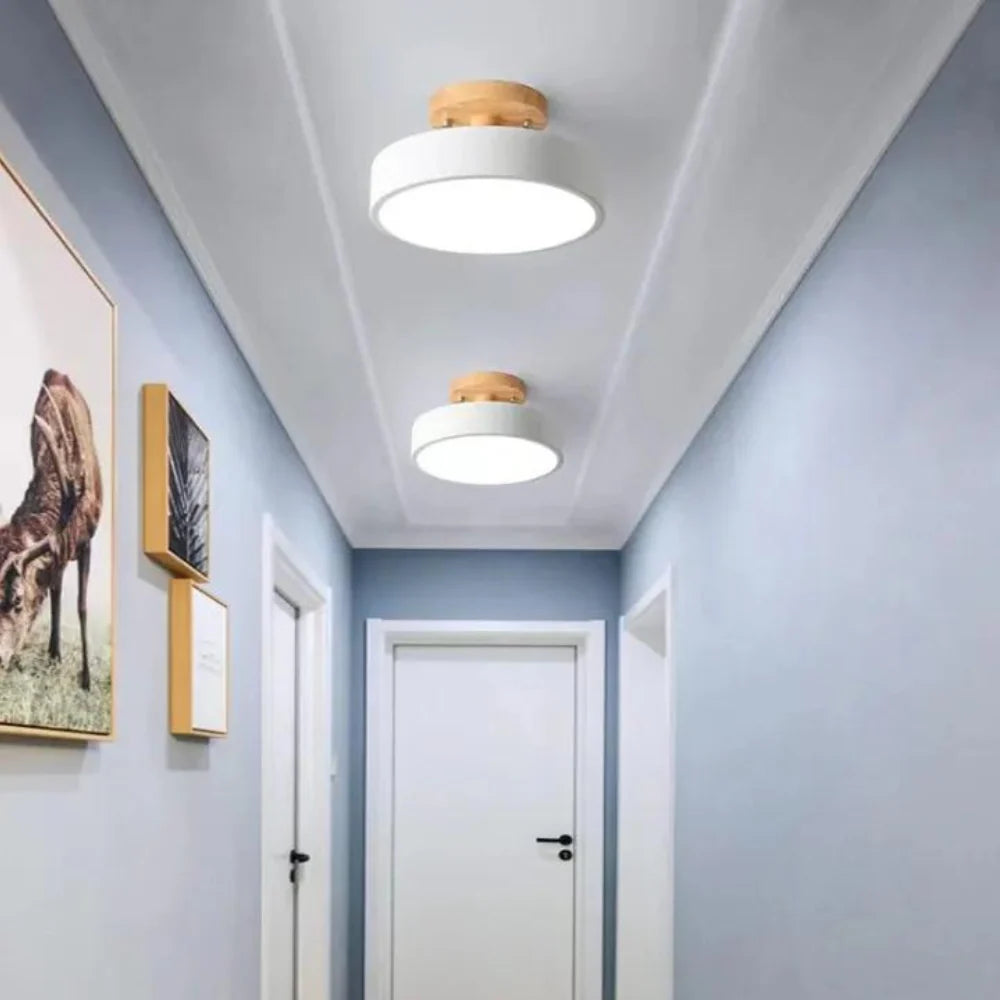 Soreia Compact Modern LED Ceiling Lamp