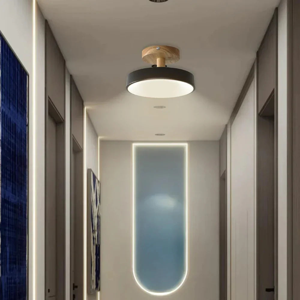 Soreia Compact Modern LED Ceiling Lamp
