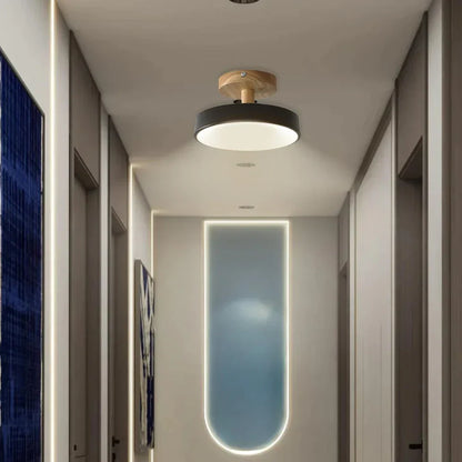 Soreia Compact Modern LED Ceiling Lamp