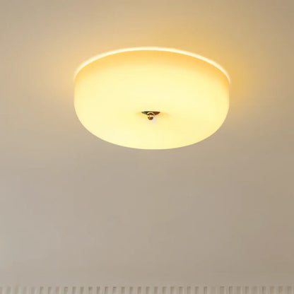 Zyros Scandinavian LED ceiling lamp