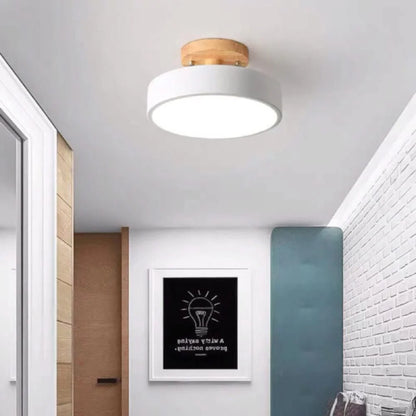 Soreia Compact Modern LED Ceiling Lamp