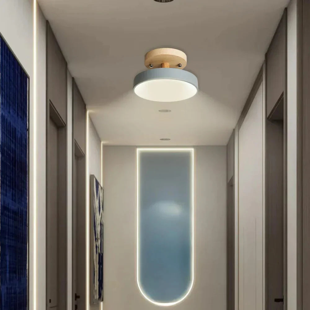 Soreia Compact Modern LED Ceiling Lamp