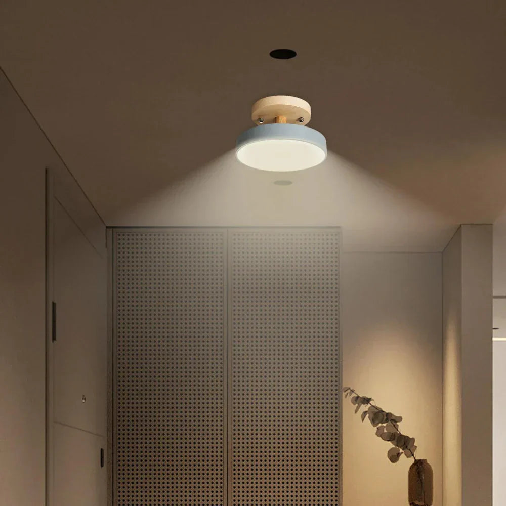 Soreia Compact Modern LED Ceiling Lamp