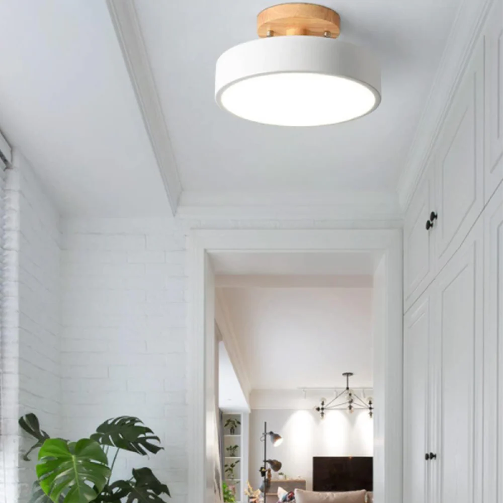 Soreia Compact Modern LED Ceiling Lamp