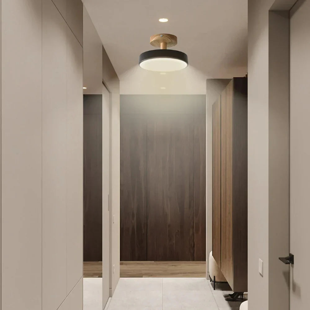 Soreia Compact Modern LED Ceiling Lamp