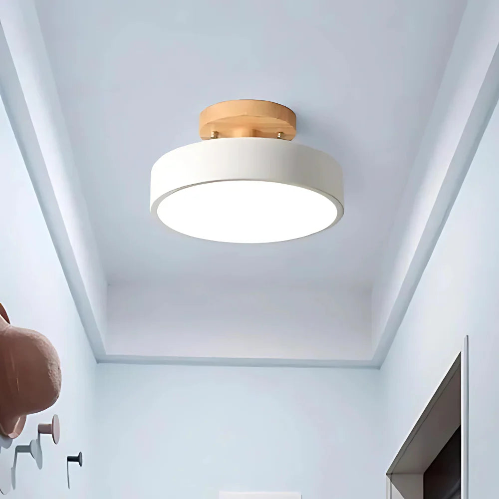 Soreia Compact Modern LED Ceiling Lamp