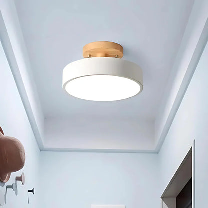 Soreia Compact Modern LED Ceiling Lamp