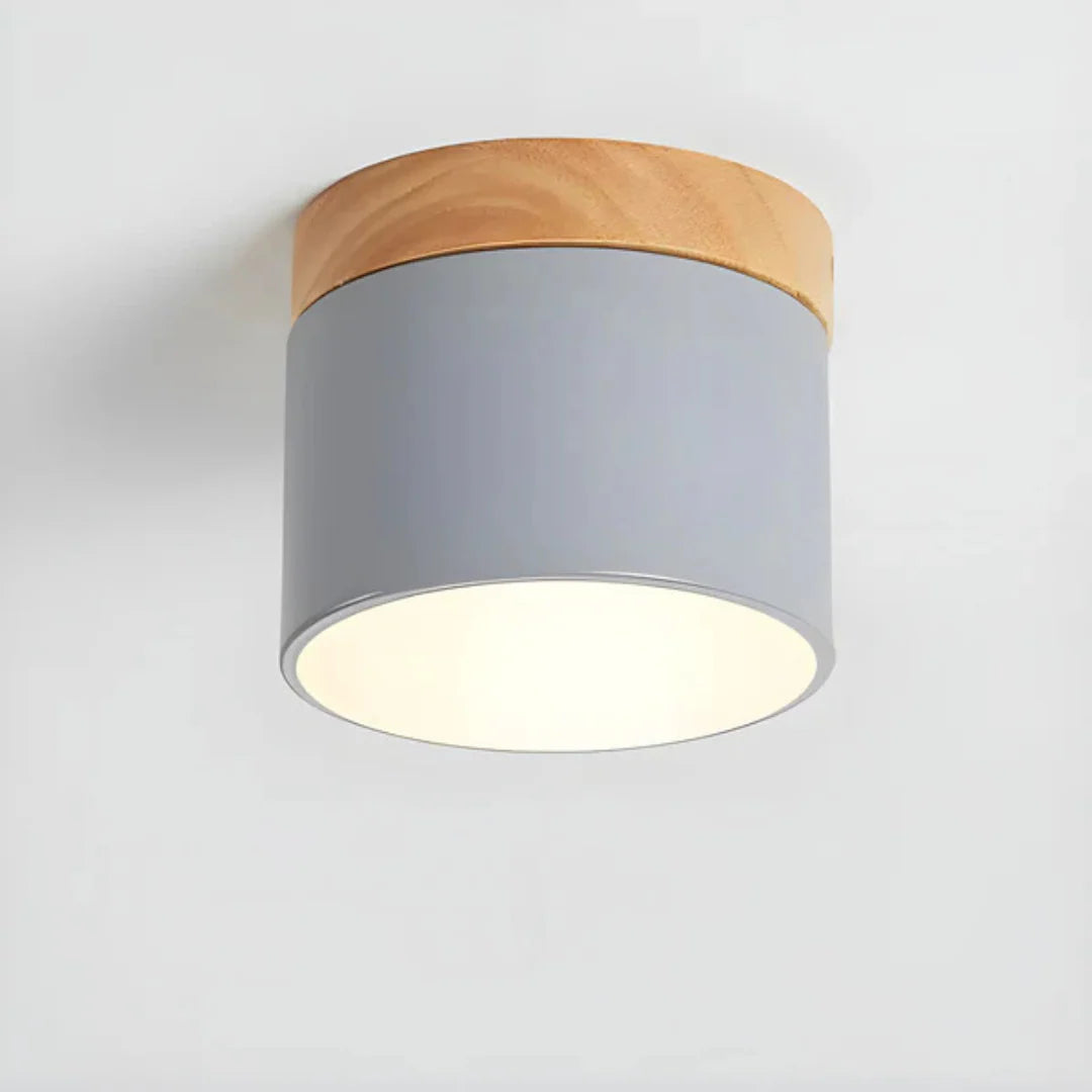 Vesta Vintage LED Ceiling Lamp