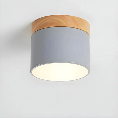 Vesta Vintage LED Ceiling Lamp