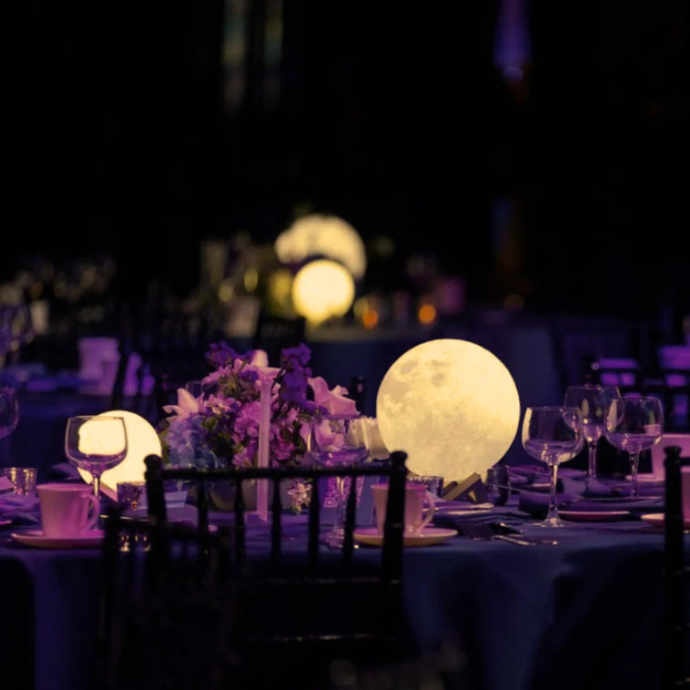 Aurora Moon Garden Light