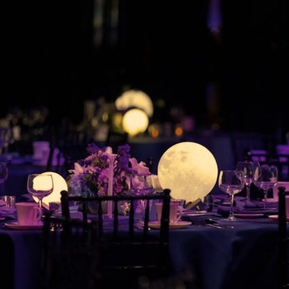 Aurora Moon Garden Light