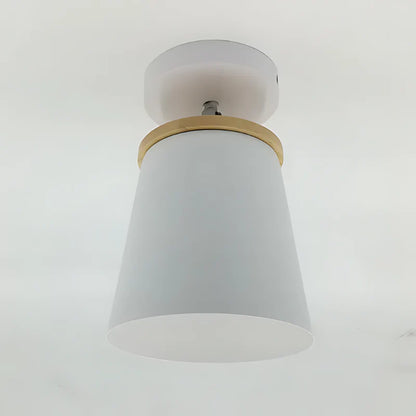 Virox Stylish Macaron Ceiling Lamp