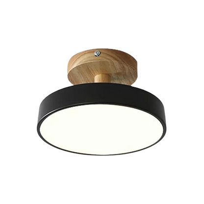 Soreia Compact Modern LED Ceiling Lamp
