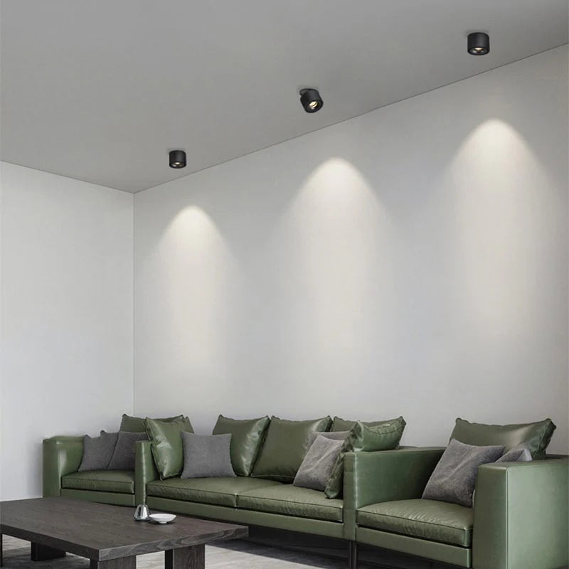 Alira Adjustable Cylinder Recessed LED Ceiling Lamp