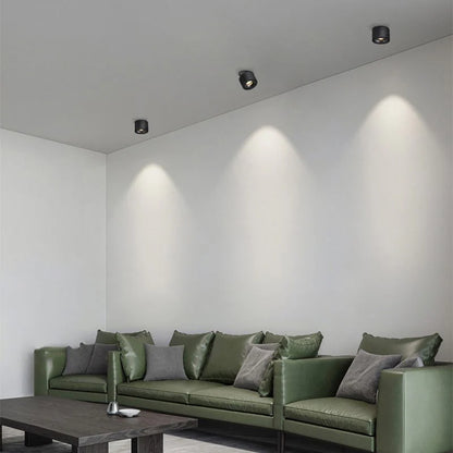 Alira Adjustable Cylinder Recessed LED Ceiling Lamp