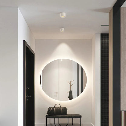 Alira Adjustable Cylinder Recessed LED Ceiling Lamp