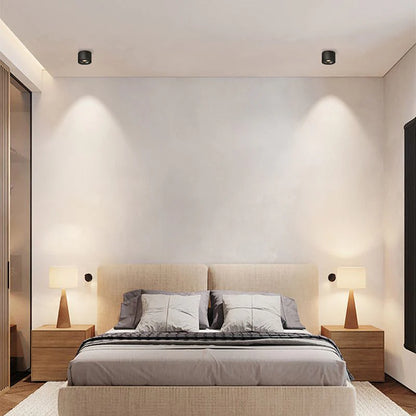 Alira Adjustable Cylinder Recessed LED Ceiling Lamp