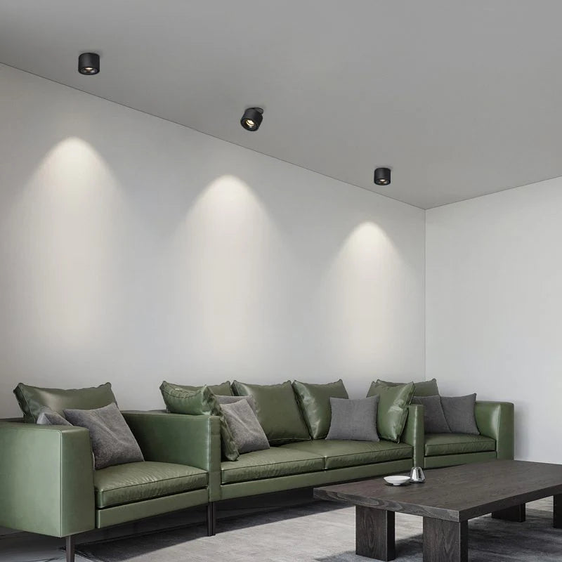 Alira Adjustable Cylinder Recessed LED Ceiling Lamp