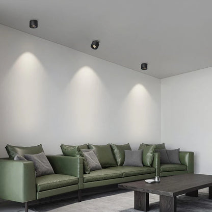 Alira Adjustable Cylinder Recessed LED Ceiling Lamp