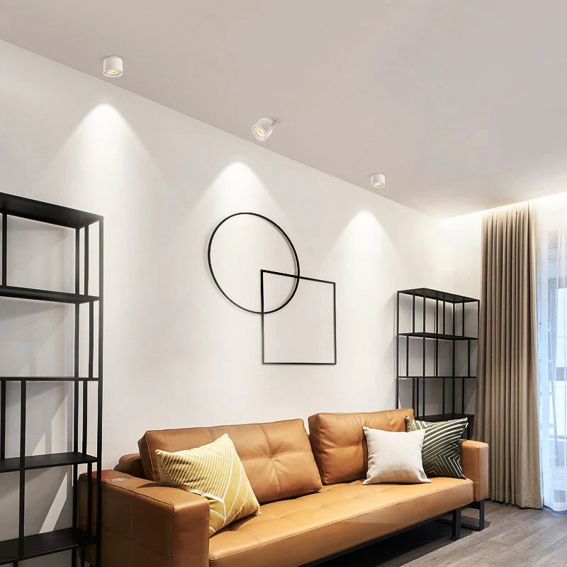 Alira Adjustable Cylinder Recessed LED Ceiling Lamp