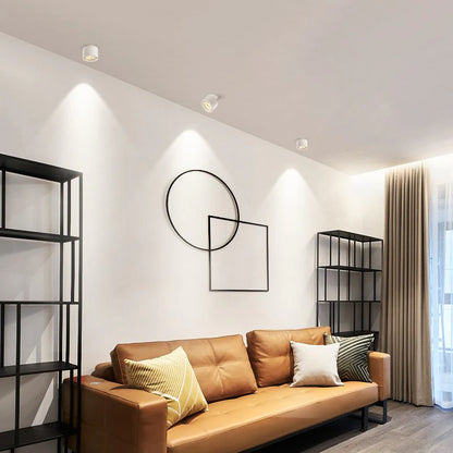 Alira Adjustable Cylinder Recessed LED Ceiling Lamp