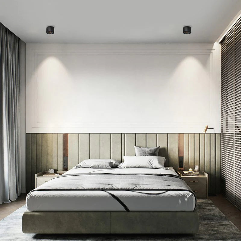 Alira Adjustable Cylinder Recessed LED Ceiling Lamp