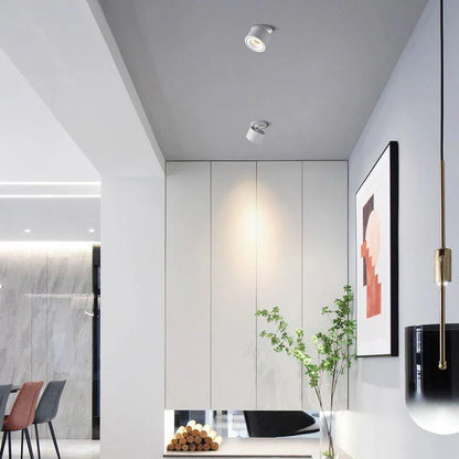 Alira Adjustable Cylinder Recessed LED Ceiling Lamp
