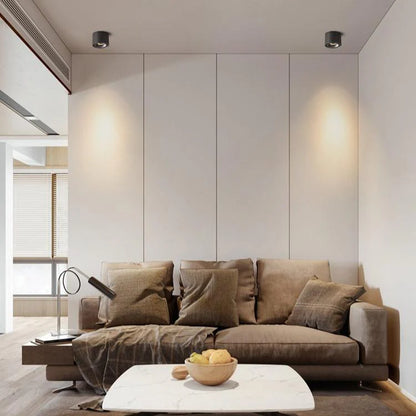 Alira Adjustable Cylinder Recessed LED Ceiling Lamp