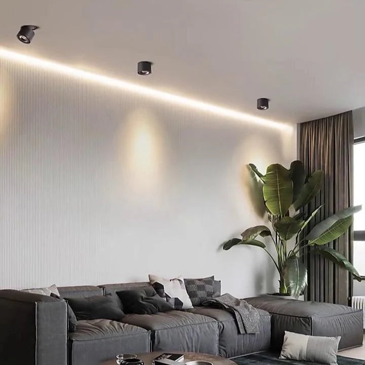 Alira Adjustable Cylinder Recessed LED Ceiling Lamp