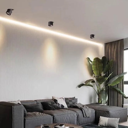 Alira Adjustable Cylinder Recessed LED Ceiling Lamp
