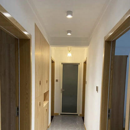 Alira Adjustable Cylinder Recessed LED Ceiling Lamp