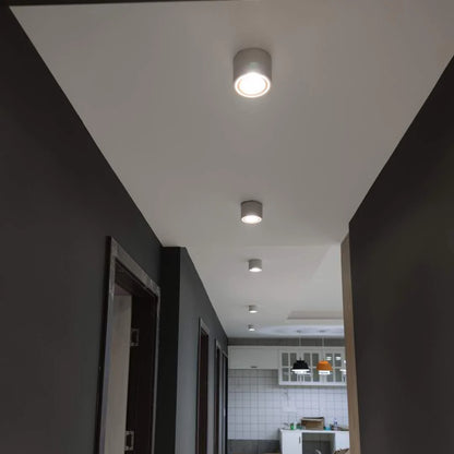 Alira Adjustable Cylinder Recessed LED Ceiling Lamp