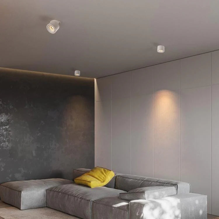Alira Adjustable Cylinder Recessed LED Ceiling Lamp