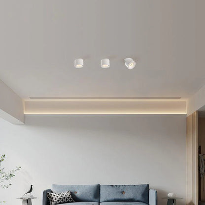 Alira Adjustable Cylinder Recessed LED Ceiling Lamp